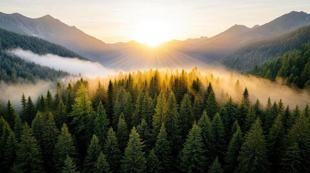 Golden hour misty mountain valley — landscape photography